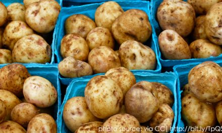 Grow Potatoes From Sprouts