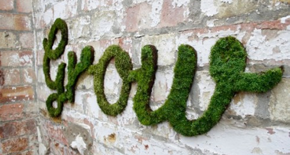 Guerrilla Gardening – Moss Graffiti