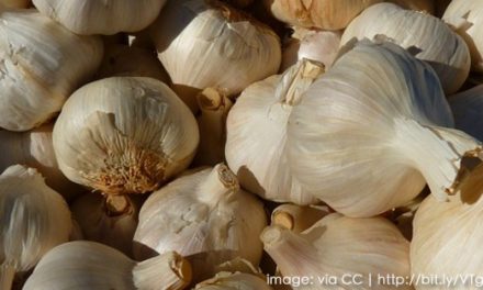Grow Garlic in 5 Easy Steps