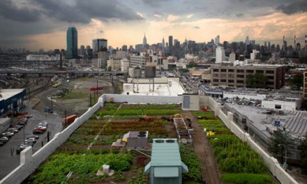 全球五個最有趣的城市天台農場
