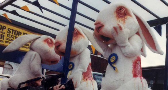 Europe ban on animal testing for cosmetics