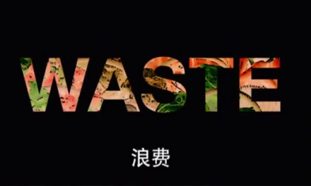 Short Film: WASTE