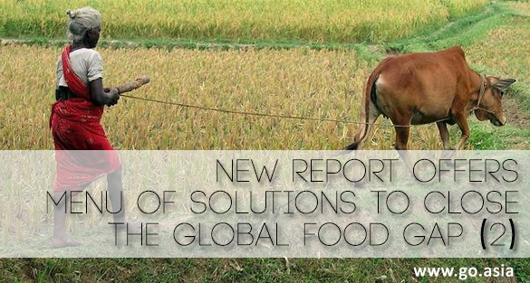Think.Eat.Save. – New Report Offers Menu of Solutions to Close The Global Food Gap (2)