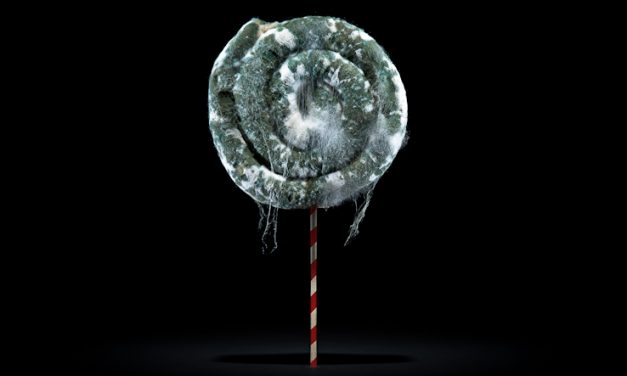 BARBECUE SAUSAGE 燒烤香腸