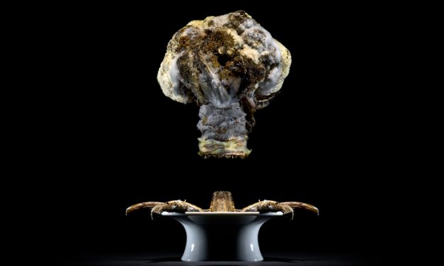 CAULIFLOWER 椰菜花