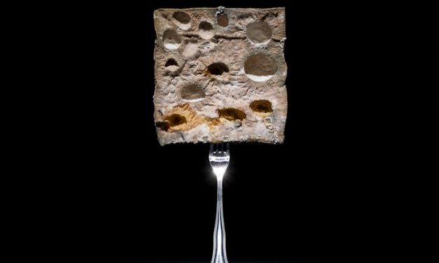 CHEESE 芝士／乳酪