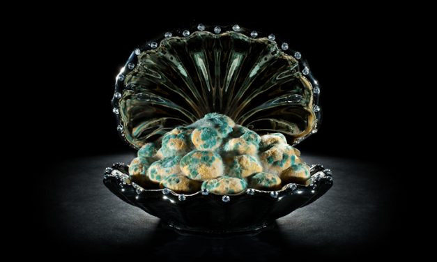 CHOUX PASTRY BUNS 泡芙