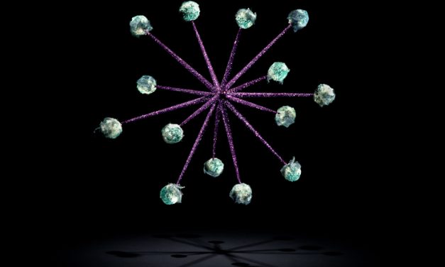 ALMOND-COCO-PRALINES 巧克力杏仁糖