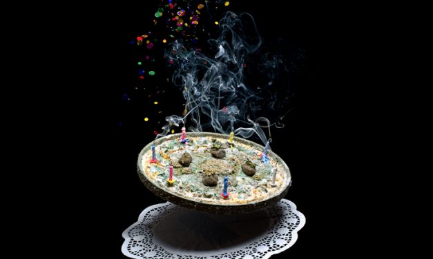 FRUIT CAKE (DEEP FROZEN) 急凍水果蛋糕