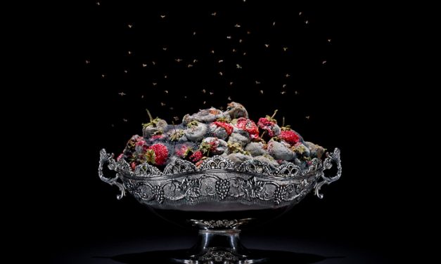 STRAWBERRIES 士多啤梨 / 草莓