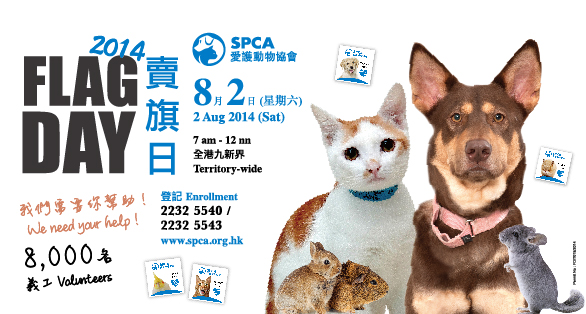 HK- SPCA (HK) Flag Day 2014 | Volunteers Needed