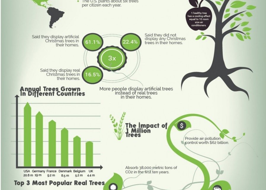 Interesting Tree Facts
