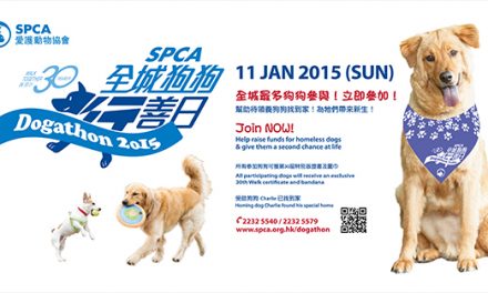 HK – SPCA Dogathon 2015 | Jan 11