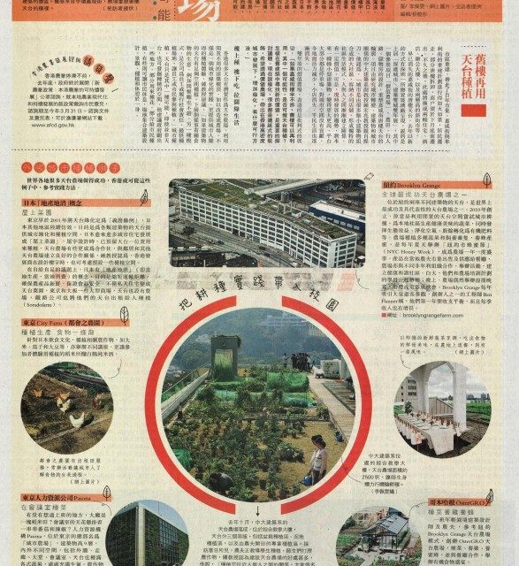 天台農場再植香港的可能@明報