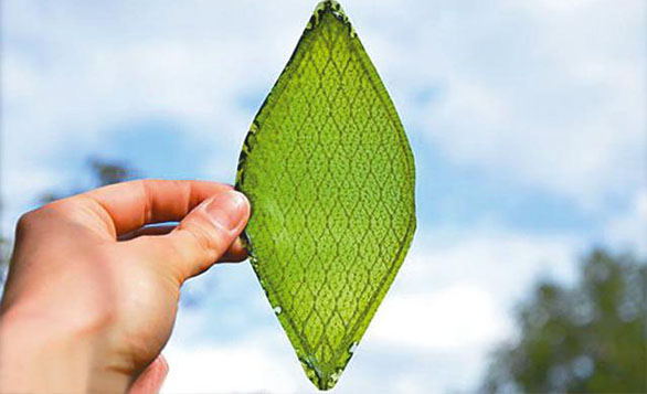 Artificial Leaf Provides Oxygen for Astronauts