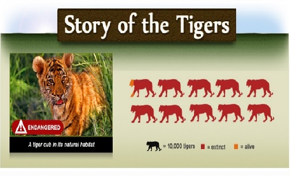 International Tiger Day 2015 – Jul 29