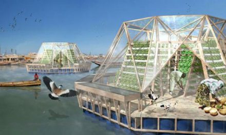 Floating, Water-Filtering Greenhouse