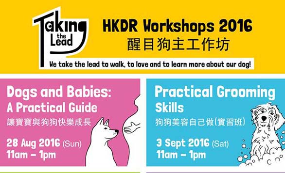 HK – Hong Kong Dog Rescue Workshop  I Aug – Nov 2016