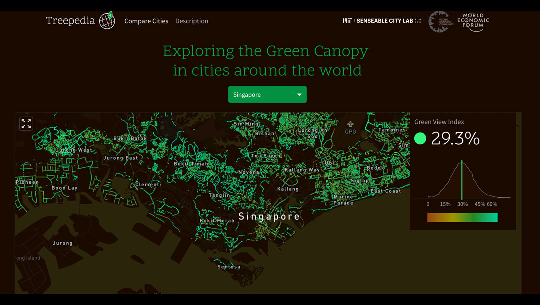 樹林百科 － 城市綠化的好幫手