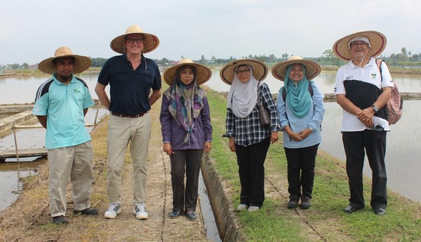 防‧蟲‧稻 –  馬來西亞學者成功研發有機全效防蟲藥