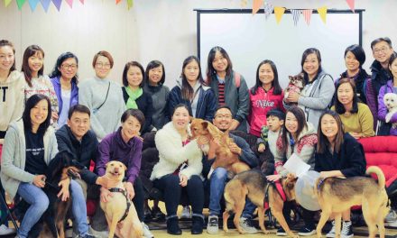 Nepal – Volunteer Recruitment for Community Dog Trap-Neuter-Return Program I Mar – Apr 2018