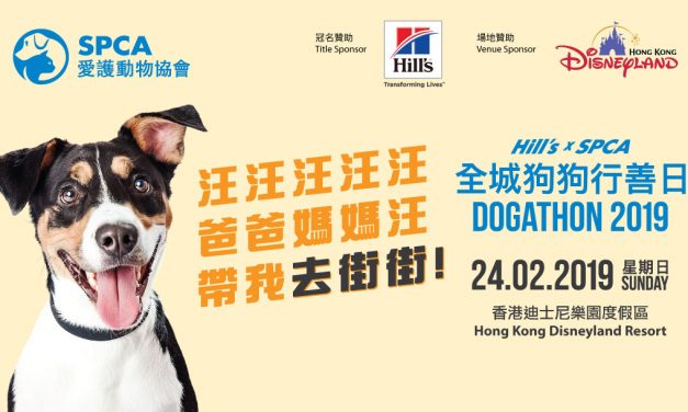 HK – SPCA Dogathon 2019 I Feb 24